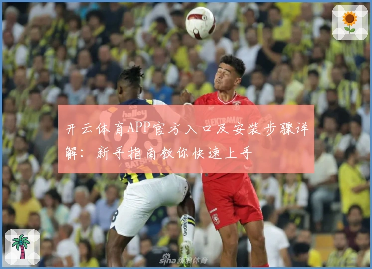 开云体育APP官方入口及安装步骤详解：新手指南教你快速上手