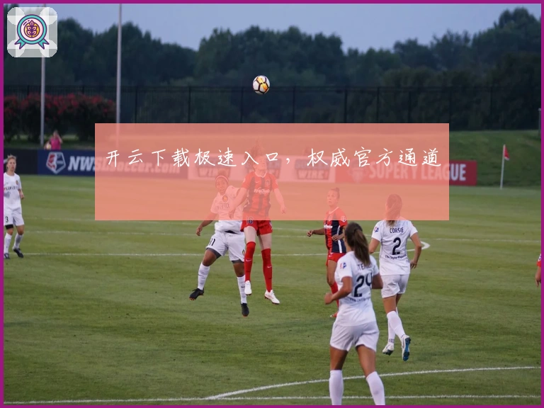 开云下载极速入口，权威官方通道