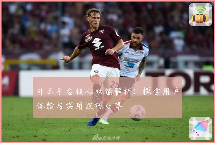 开云平台核心功能解析：探索用户体验与实用技巧分享
