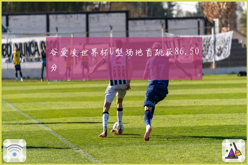 谷爱凌世界杯U型场地首跳获86.50分